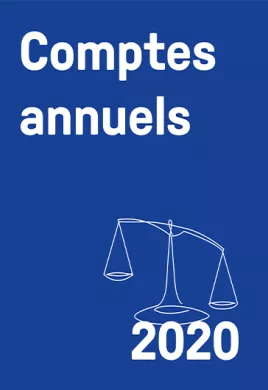 comptes annuels 2020