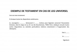 EXEMPLE DE TESTAMENT EN CAS DE LEG UNIVERSEL